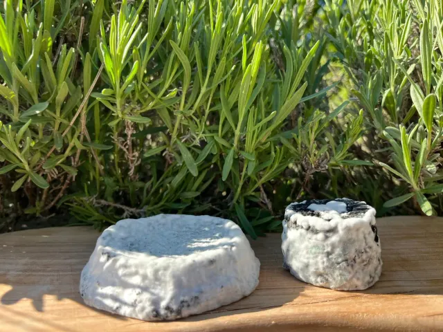 Agrilife 2.0 Robiola Stagionata al Carbone Vegetale formaggio