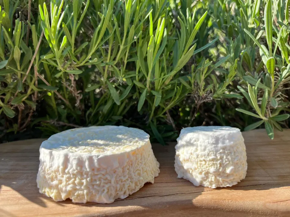 Agrilife 2.0 Robiola stagionata classica formaggio