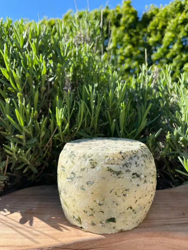 Agrilife 2.0 Caciotta Erbette formaggio erbe