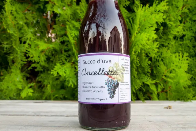 Bosco del Fracasso Succo Uva Ancellotta 500ml nero