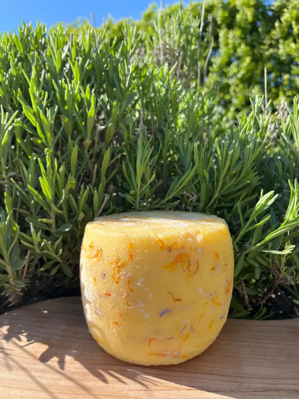AGRILIFE 2.0 Caciotta fiori eduli formaggio fresco